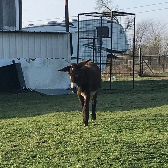 Using The Things That Work! - Picture 1 of 2